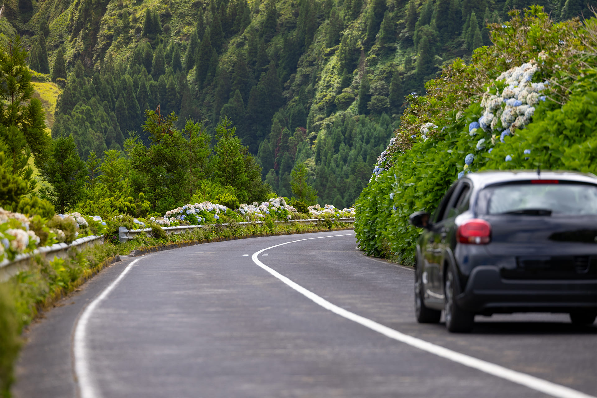 Aluguer de Viaturas sem condutor