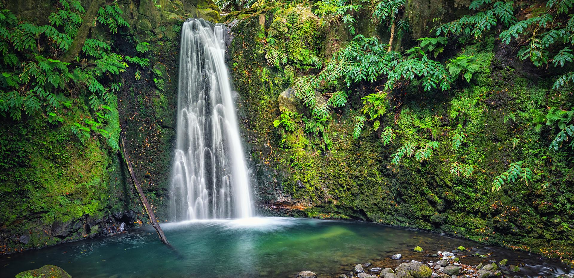 NATURE IS IN OUR DNA