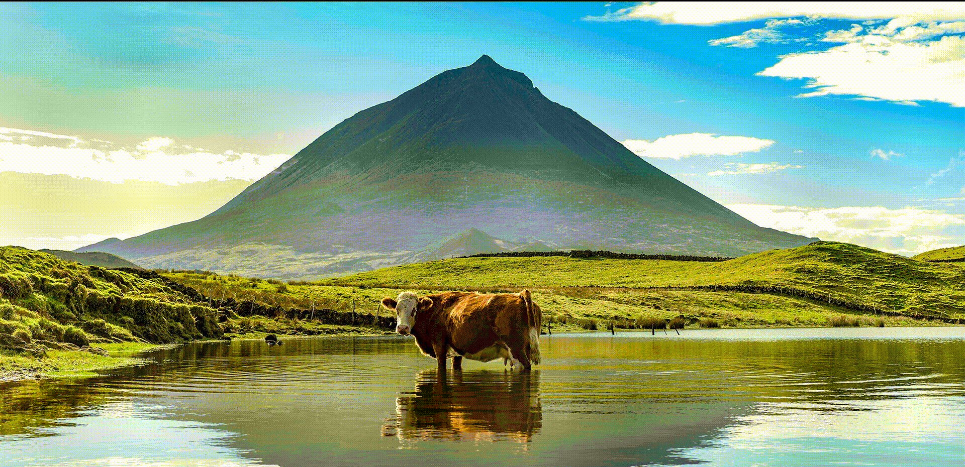 Tour de jipe na Lagoa do Fogo com a Azores Travel Agency