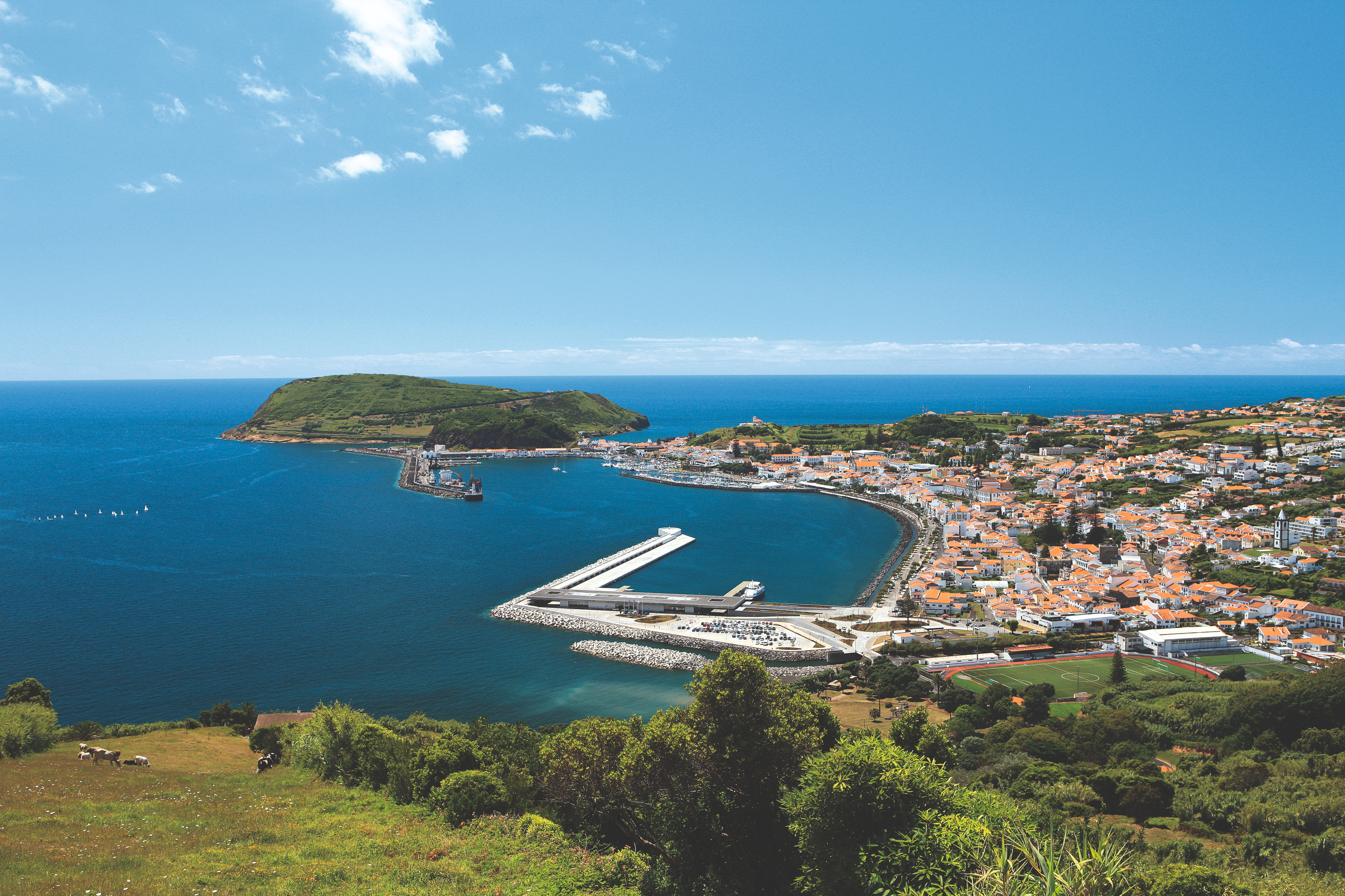 Faial