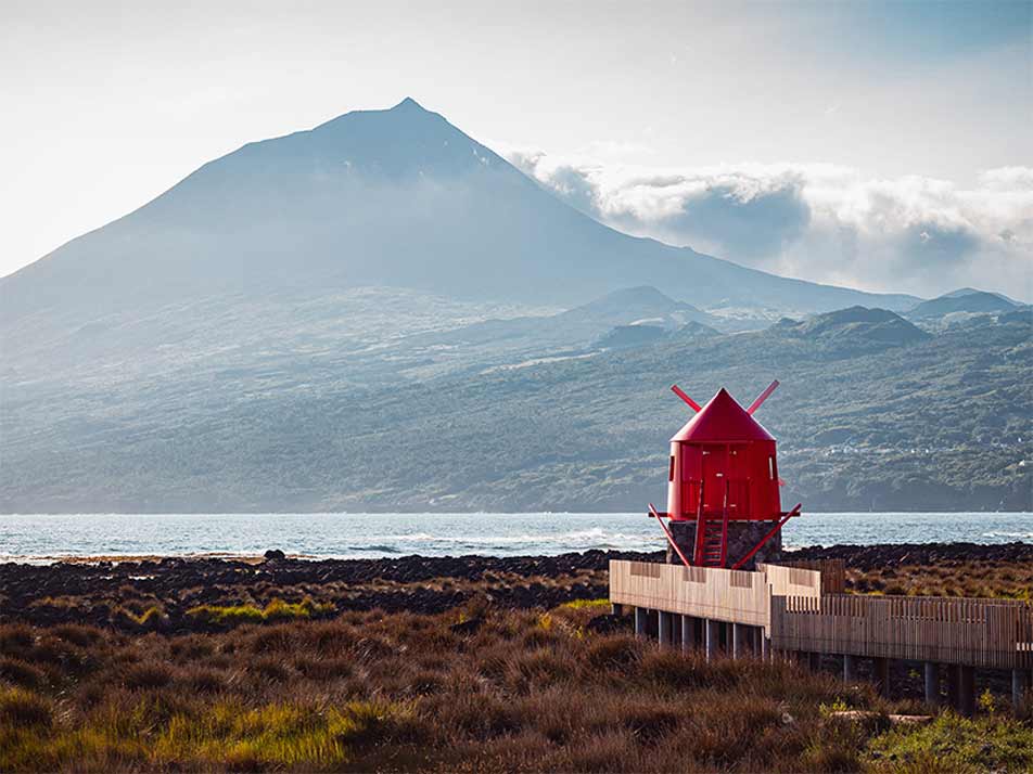 Pico
